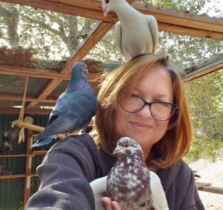 Palomacy and Why More People Should Adopt Pigeons and Doves